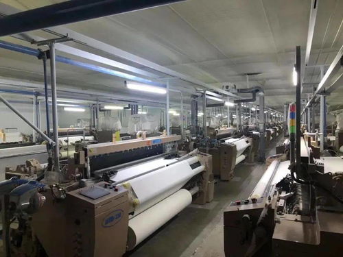 高密 服務企業就是構建城市未來，打造政企命運共同體的防護用品生產新篇章